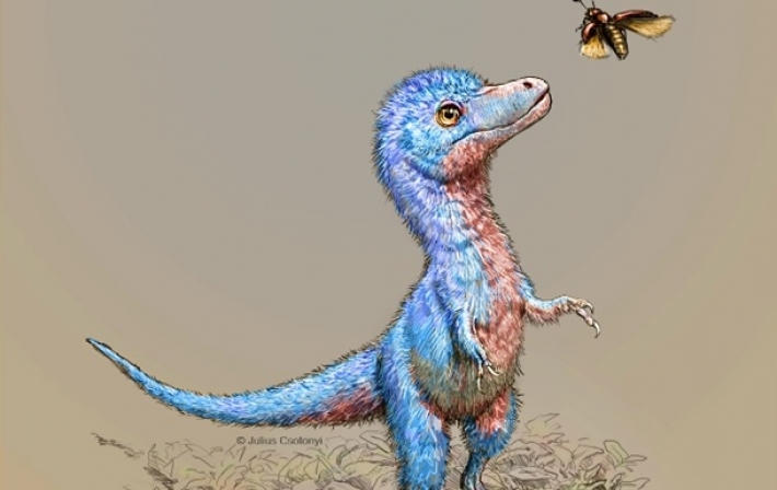 Ученые восстановили облик детенышей тиранозавров (фото)