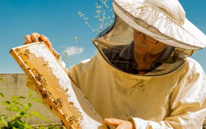 Сколько пчеловодов в Мелитополе получили дотацию на пчелосемьи (видео)