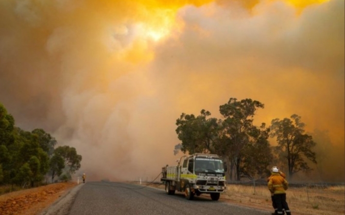 Австралию снова охватили масштабные лесные пожары: фото и видео настоящего "ада"