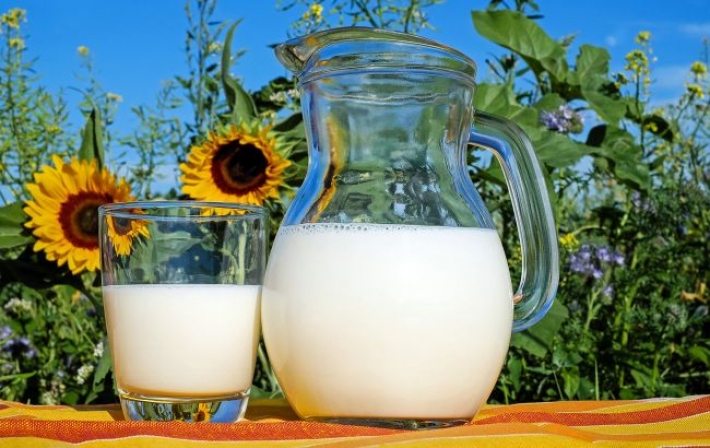 Врачи назвали самые полезные молочные продукты, которые замедляют старение