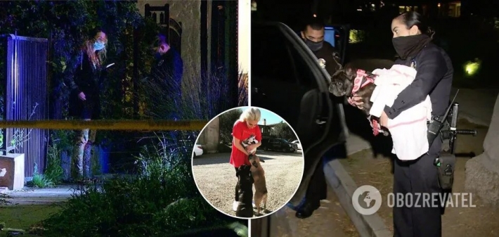 У Леди Гаги украли собак и выстрелили в их выгульщика (Фото и видео)
