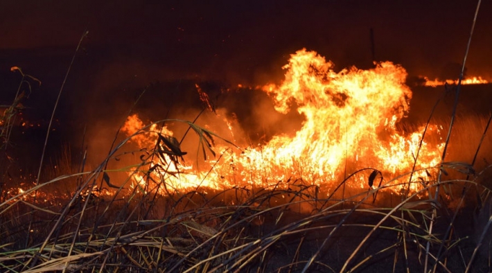 В Мелитополе и районе спасатели тушили пожары в полях