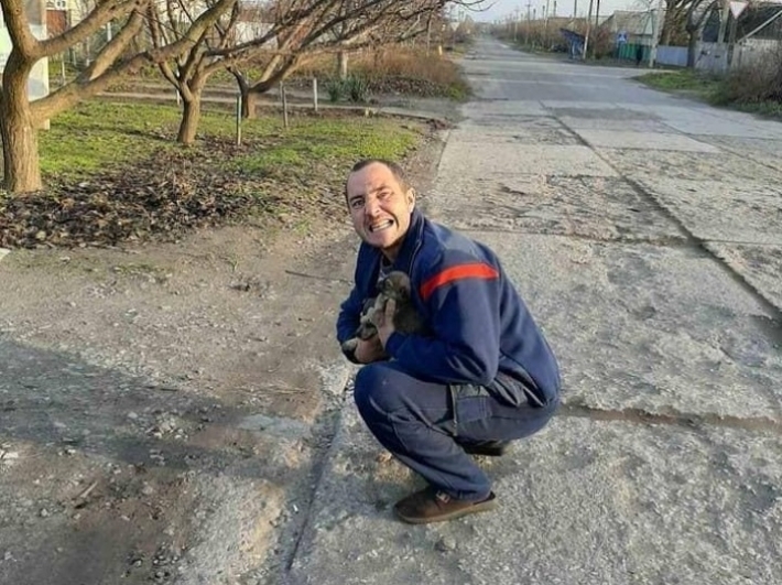 Неожиданный поворот - кто заработал на смерти собаки, с которой в Мелитополе жестоко расправился живодер