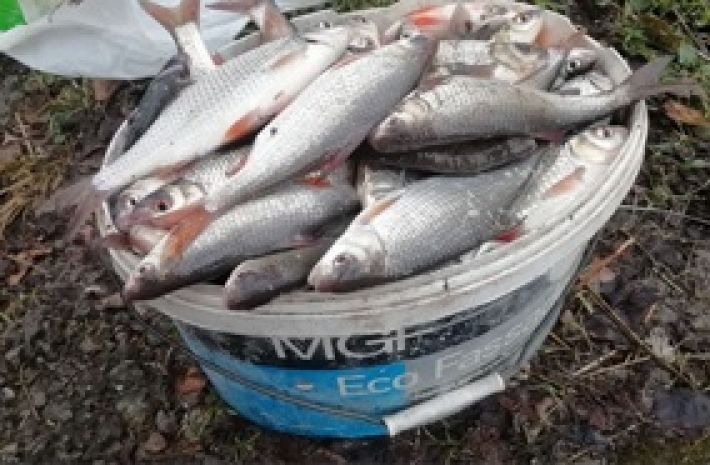 В Запорожской области рыбаки заплатят штраф 11 тысяч грн. (фото)
