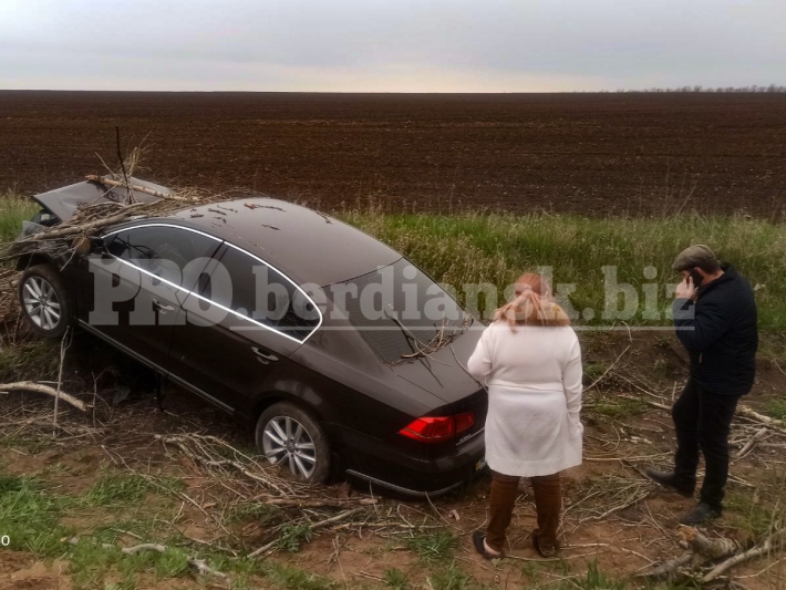 На запорожской трассе пьяная автоледи влетела в дерево (фото)
