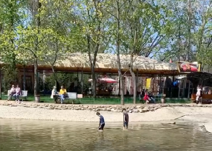 В Мелитополе двое детей решили "освежиться" и залезли в пруд (видео)