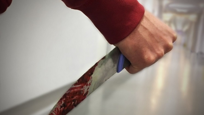 В Запорожской области женщина пырнула ножом собутыльника