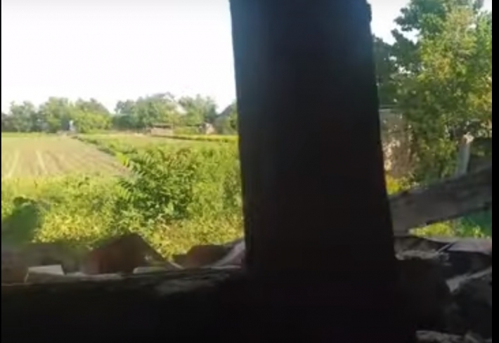 Как после бомбежки - под Мелитополем молодая семья просит помочь восстановить дом (видео)