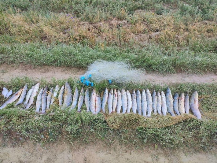 В Мелитопольском районе у браконьеров изъяли рыбы на 120 тысяч грн.