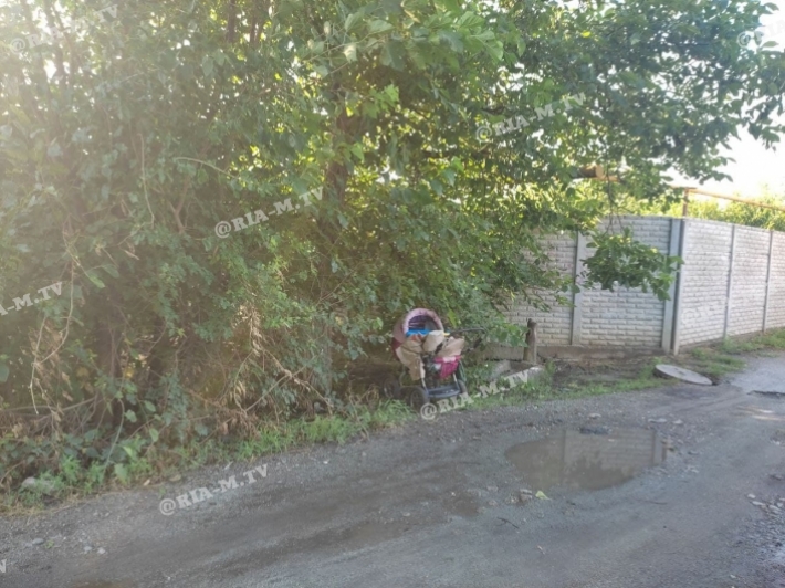 В Мелитополе в детской коляске обнаружили труп (фото, видео)