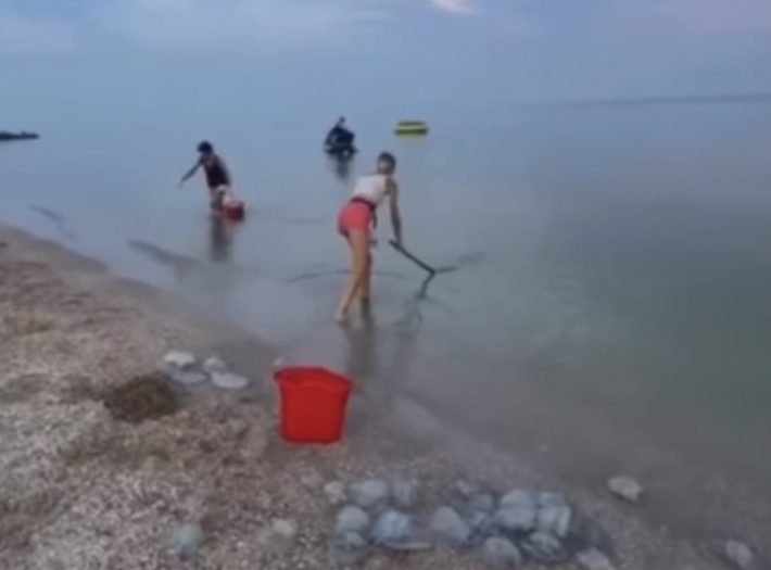 В Примпосаде борются с медузами с ведрами и граблями (видео)