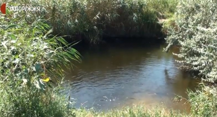 Ученые рассказали, почему умирает река Молочная и что с этим делать (видео)