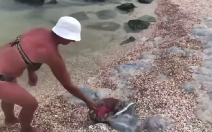 Курьезы – в Кирилловке медуз выносят из моря в хозяйственных сумках (видео)