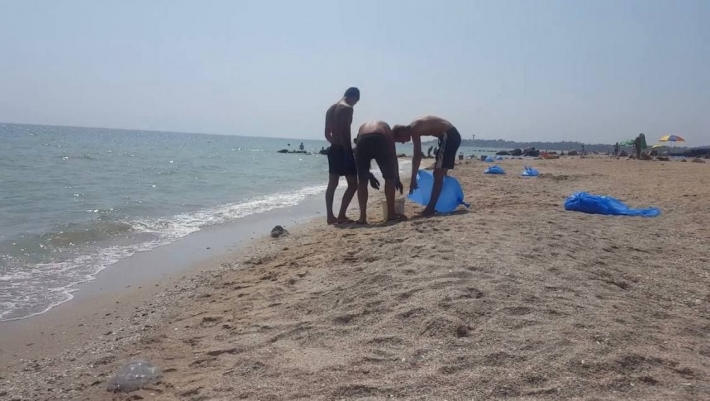 В  Примпосаде собирают «урожай» медуз, а на Арабатке на пляже роют бассейны в песке (фото, видео)
