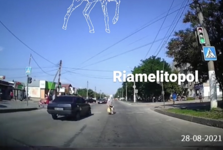 В Мелитополе водитель ВАЗа едва не сбил девушку с коляской и старушку на "зебре"