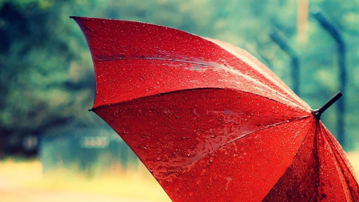 Курьезы. В Мелитополе запечатлели "зонт для большой компании" (видео)
