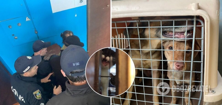 Под Киевом женщина в квартире держала 70 котов и собак: животных забрали (Фото и видео)