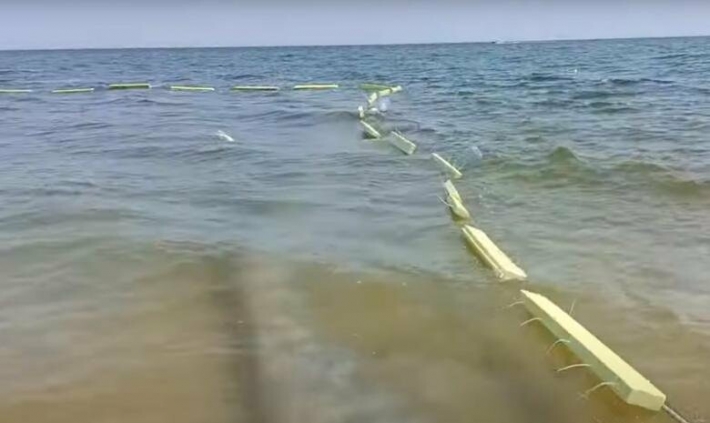 Не тратьтесь на сетки от медуз - ученые дали прогноз на следующий курортный сезон в Кирилловке