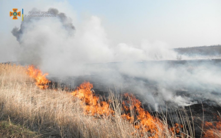 В Луганской области погиб мужчина из-за сжигания сухой травы