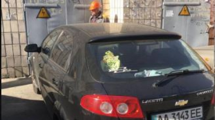 В Киеве автохамка оставила без электричества 16 домов: подробности и фото