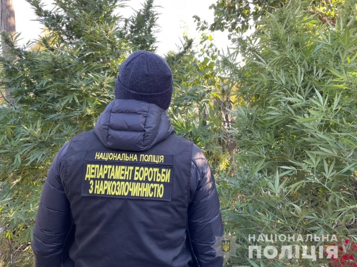 В Запорожье задержали 2 мужчин с наркотиками на 300 тысяч гривен