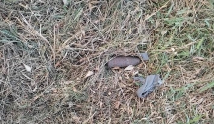 В Мелитополе уничтожили снаряд, обнаруженный при покосе травы (фото)
