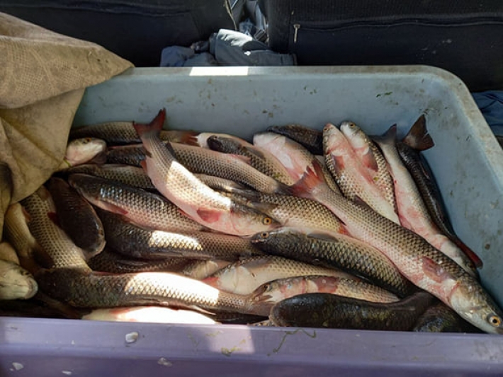 В Мелитопольском районе изъяли более 1000 кг рыбы без документов