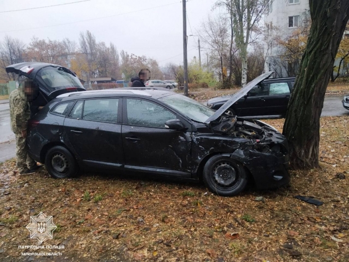 В Запорожье водитель авто в результате ДТП снес знак и влетел в дерево
