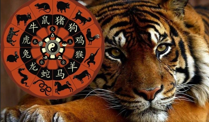 Год Тигра по китайскому календарю: какие сюрпризы он принесет