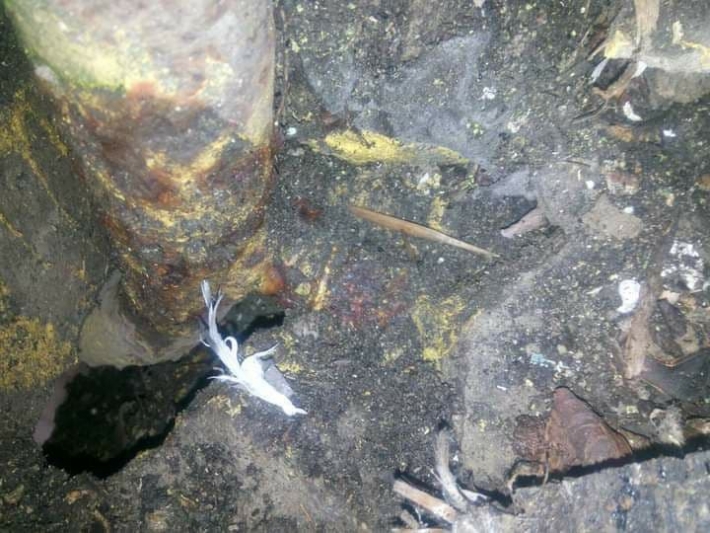 В Мелитополе ржавый газопровод едва не наделал бед в многоэтажке (фото)