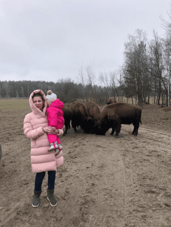 Под Киевом в эко-парке на семью напало стадо бизонов, фото 2