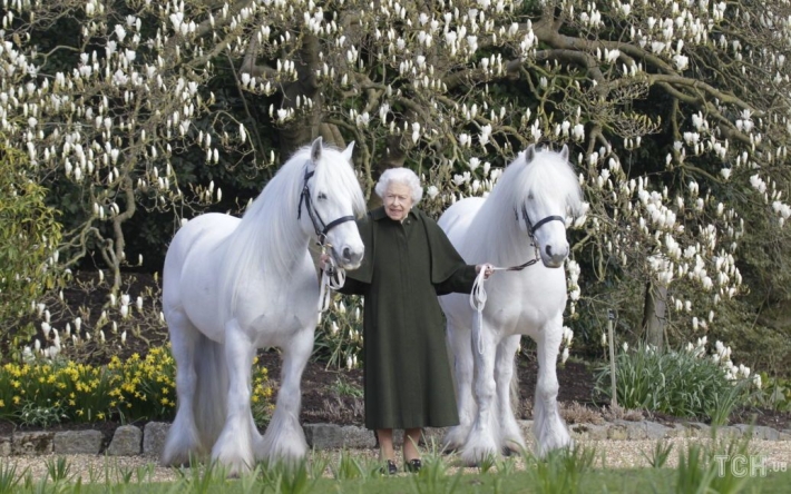 Королева Елизавета II отмечает 96-летие: представлено новое фото монарха к празднику