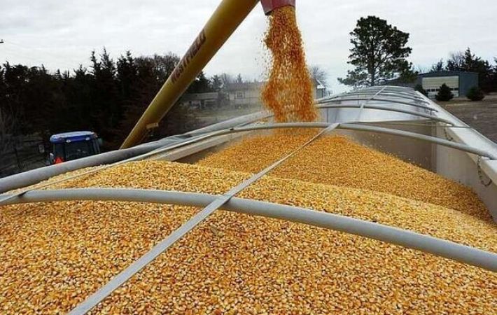 В Запорожской области оккупанты похитили сельхозтехнику и вывезли более 60 тонн зерна