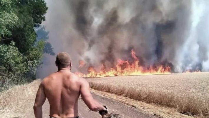 Уезжают и жгут свои поля - в Мелитопольском районе рашисты терроризируют и пытают фермеров