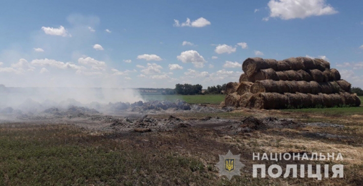 В Запорожской области из-за обстрелов рашистами выгорело более 800 гектаров урожая