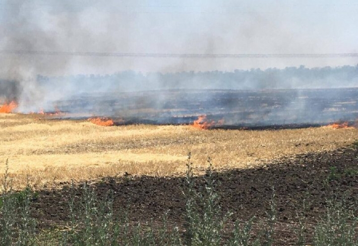 В Запорожской области из-за обстрелов оккупантами сгорело 20 гектар пшеницы