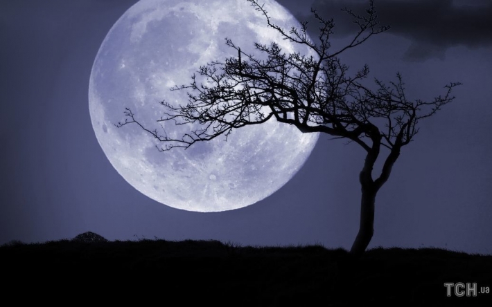 Гороскоп на 14 декабря для всех знаков Зодиака: день мощной лунной энергетики