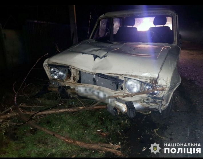 В Запорожской области нетрезвый водитель сбил насмерть двух пешеходов: полиция ищет свидетелей ДТП (ФОТО)
