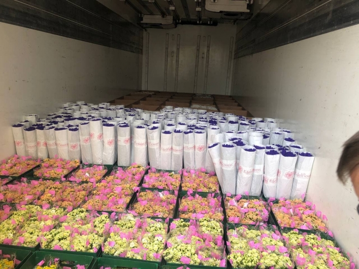 Для женщин в Энергодаре из Нидерландов передали 35 тысяч цветов