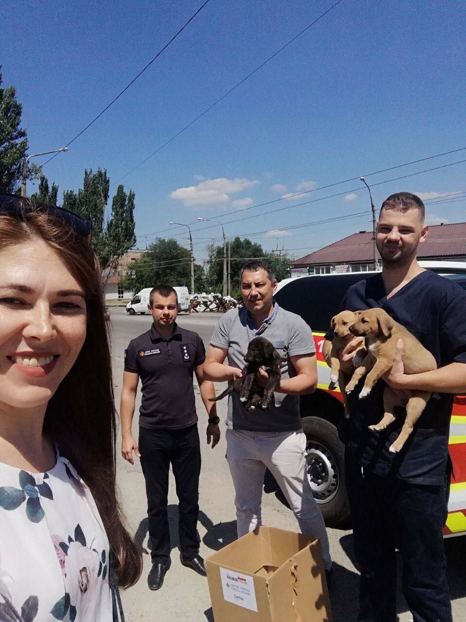 В Запорожской области ГСЧС и волонтёры спасли раненых от обстрела щенков (фото1)