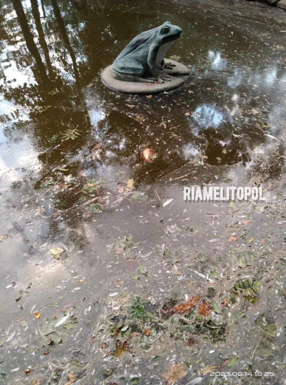 Сморід і плаваючі трупи: на що рашисти перетворили ставок у мелітопольському парку 