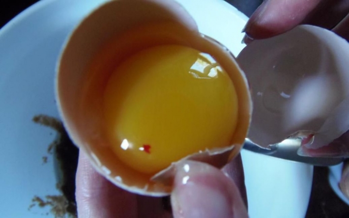 Наскільки небезпечні червоні та коричневі плямки в курячому яйці: багато хто про це не знає