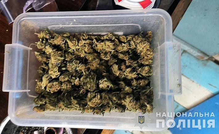 В Запорожье полицейские задержали наркосбытчицу (фото)