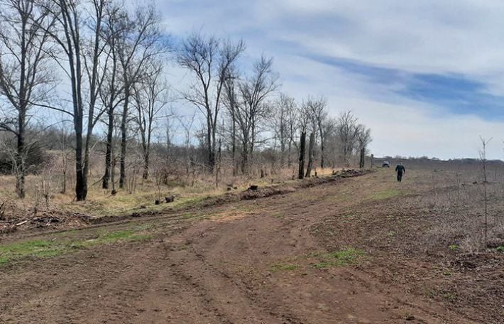 У Запорізькому районі на території заказника пошкодили 144 дерева (фото)