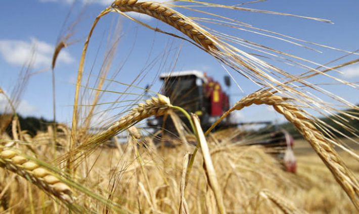 Мелітопольським фермерам дали відстрочку на повернення кредитів – названі умови