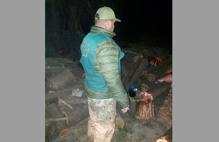 В Запорожье обнаружили мужчину, который незаконно пилил деревья