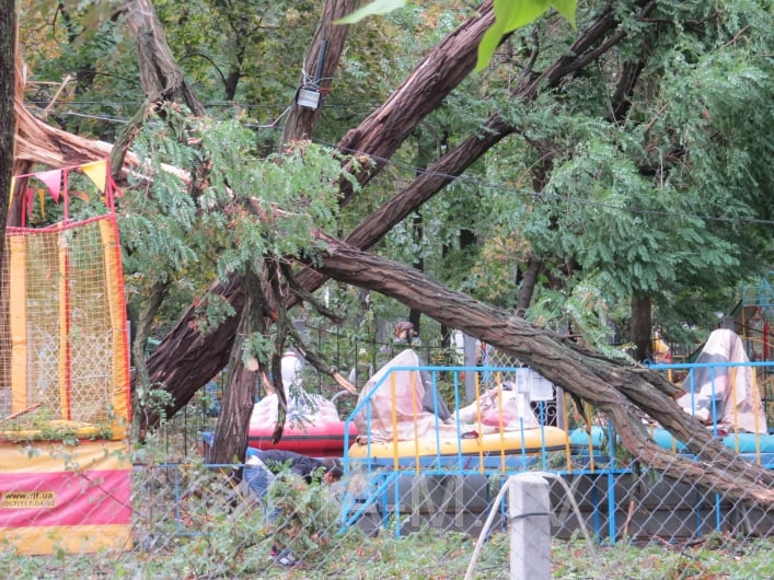 Последствия урагана в парке