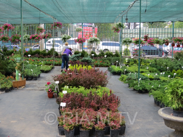 Торговля растениями в Мелитополе
