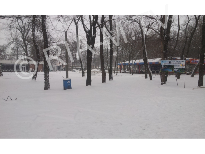 Зимний парк Горького