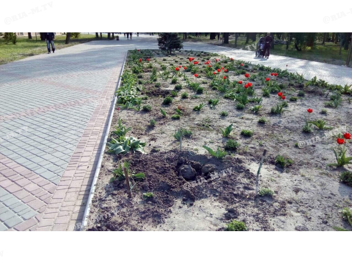 В парке выкопали цветы ЧП